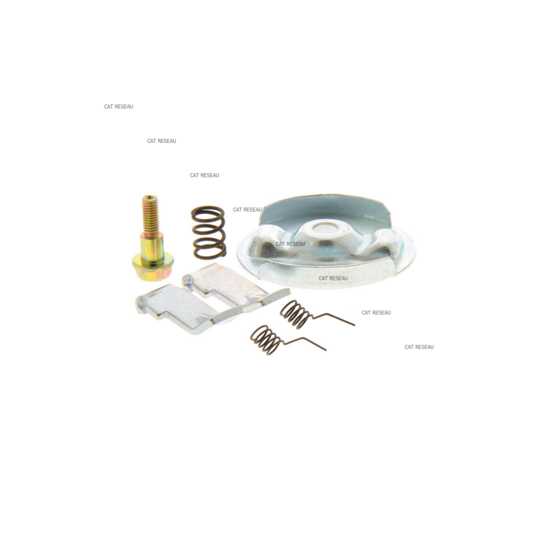 KIT CLIQUET LANCEUR CH395 - ref. 1737903S | TP Agri