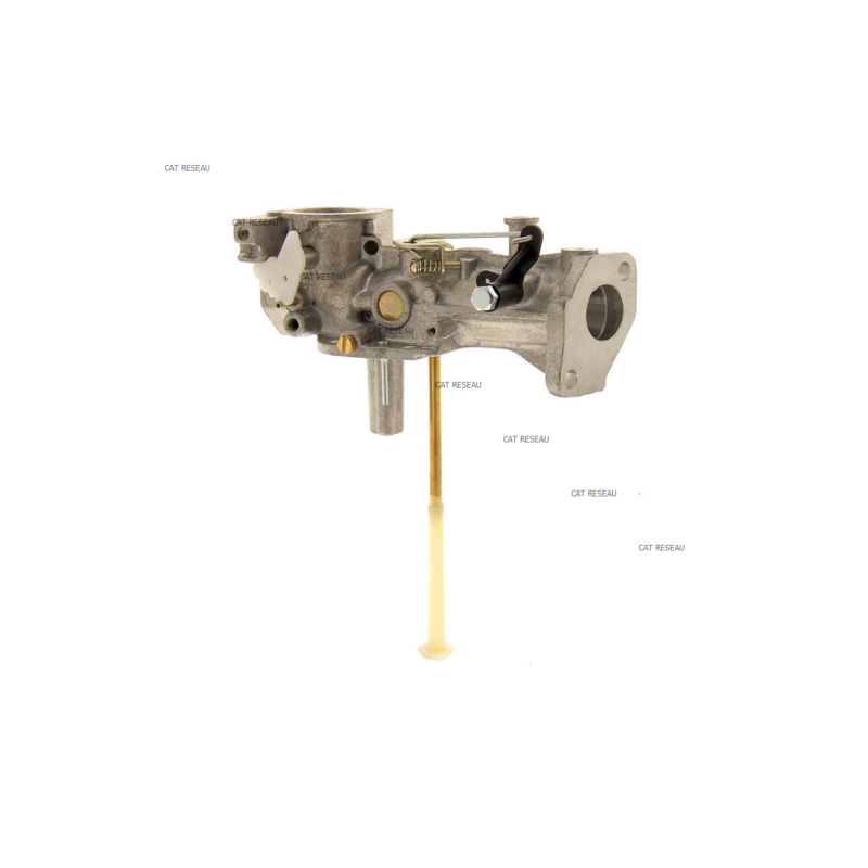 CARBURATEUR 495426 - ref. 498298 | TP Agri