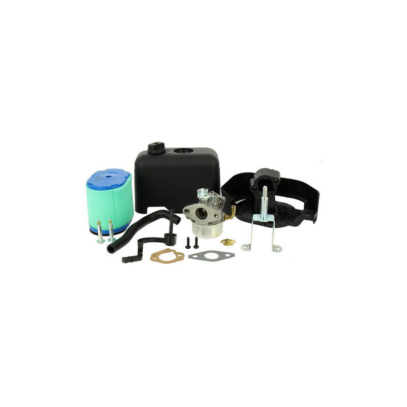 CARBURATEUR - ref. 591925 | TP Agri
