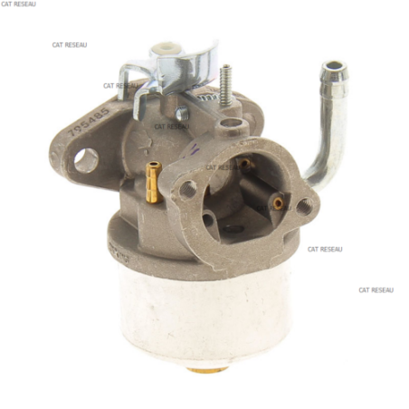 CARBURATEUR - ref. 593357 | TP Agri