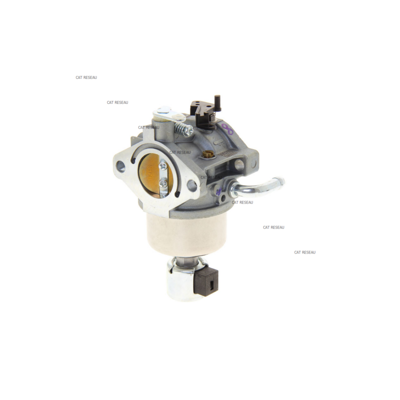 CARBURATEUR RUIXING MOTEUR S-P - ref. 594593 | TP Agri
