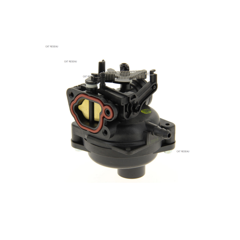CARBURATEUR - ref. 595489 | TP Agri