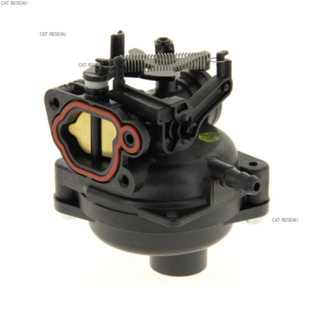 CARBURATEUR - ref. 595489 | TP Agri