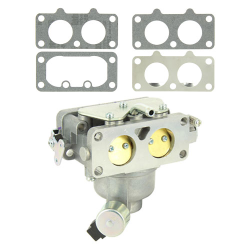 CARBURATEUR EX 592576 - ref. 595613 | TP Agri