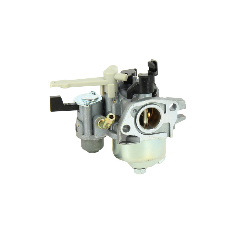 CARBURATEUR - ref. 595649 | TP Agri