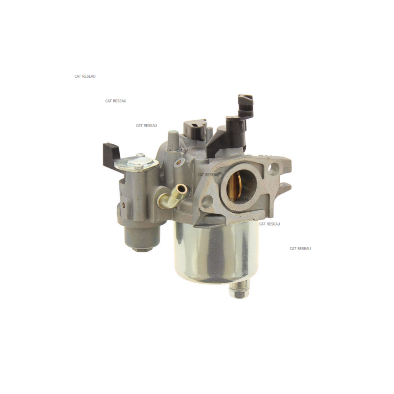 CARBURATEUR - ref. 595776 | TP Agri