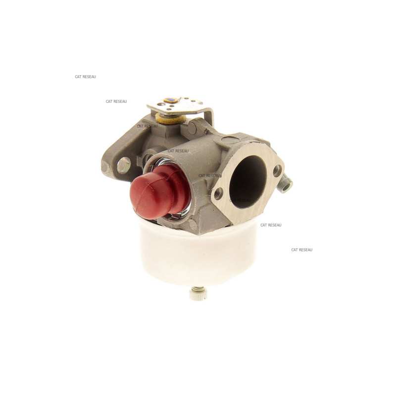 CARBURATEUR COMPLET - ref. 632795 | TP Agri