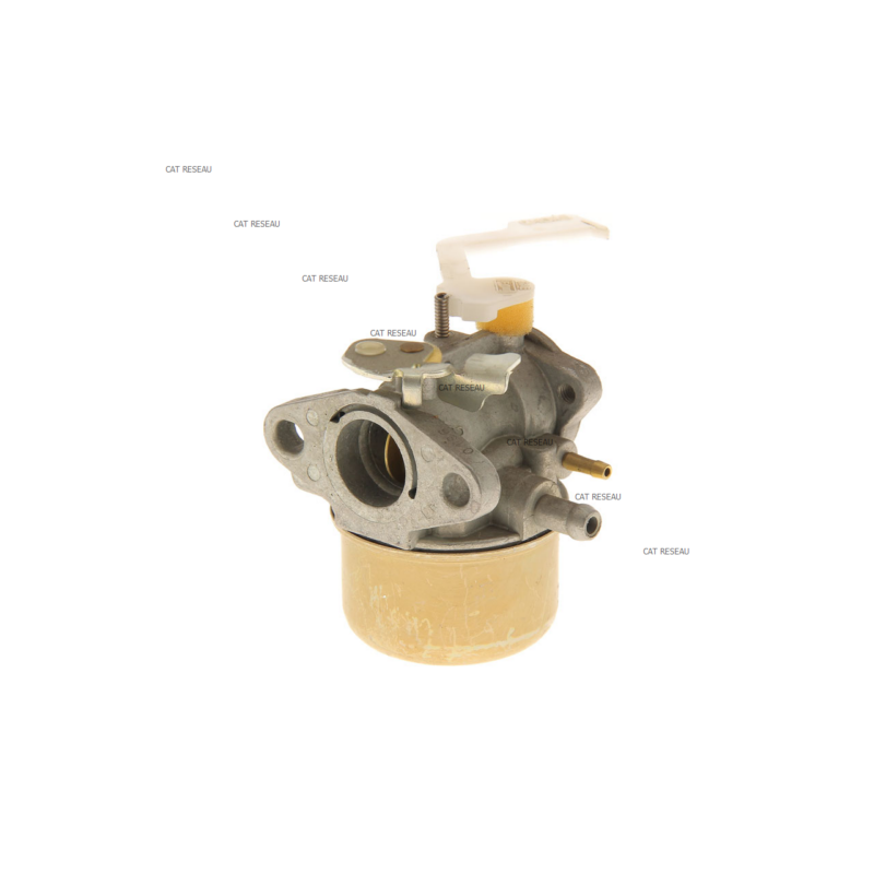 CARBURATEUR - ref. 790603 | TP Agri