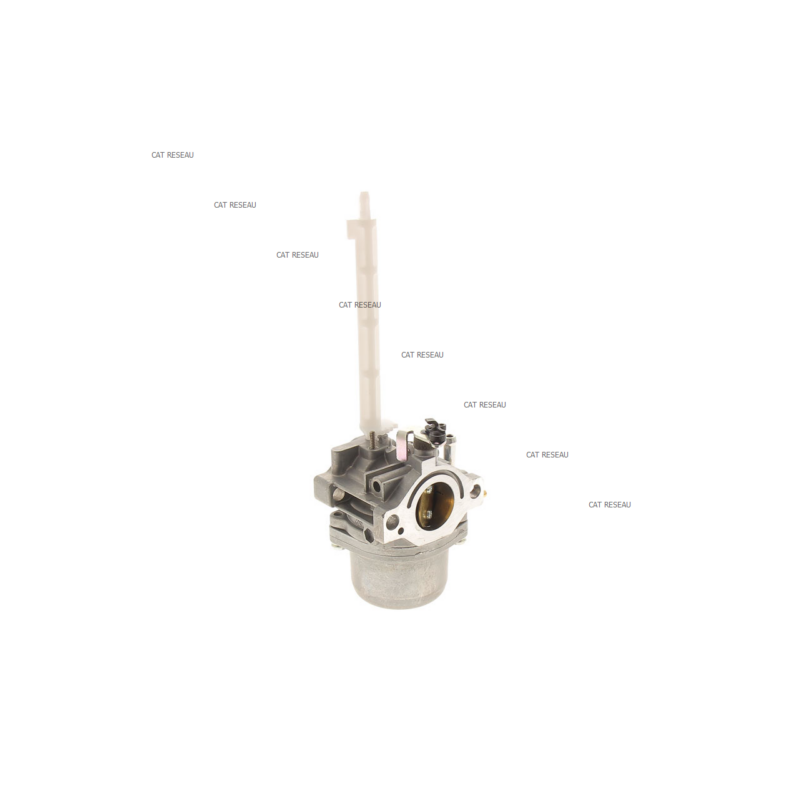 CARBURATEUR - ref. 796122 | TP Agri