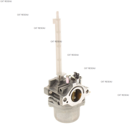 CARBURATEUR - ref. 796122 | TP Agri