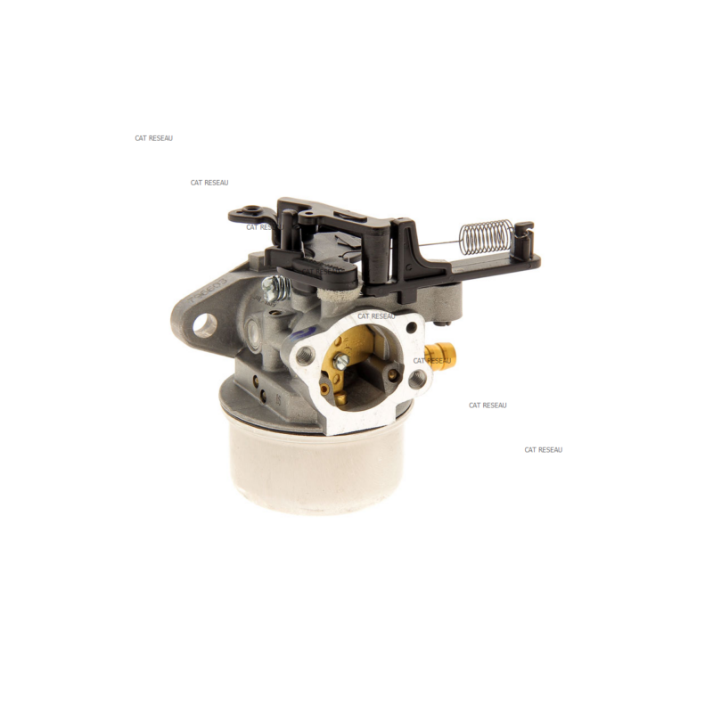 CARBURATEUR - ref. 799447 | TP Agri