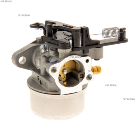 CARBURATEUR - ref. 799447 | TP Agri