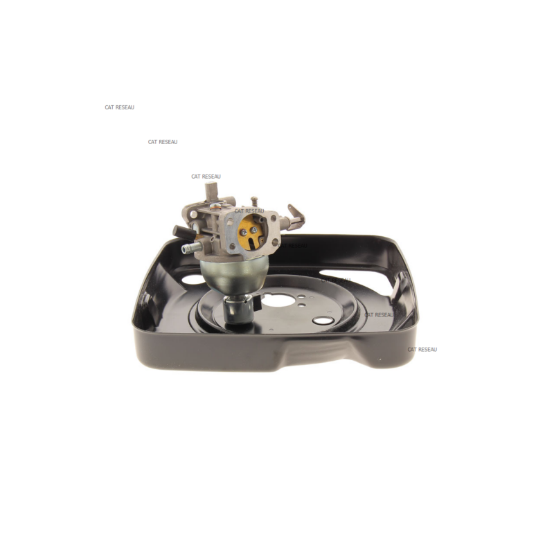 CARBURATEUR - ref. 846944 | TP Agri