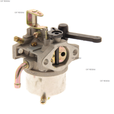 CARBURATEUR 3G - ref. 18104410 | TP Agri
