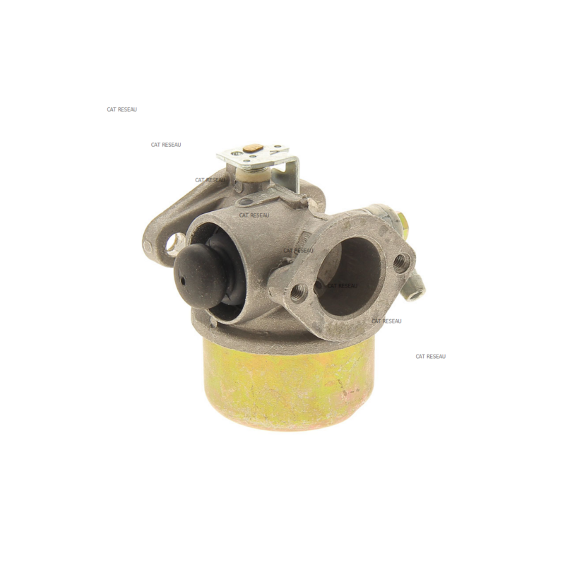 CARBURATEUR COMPLET - ref. 23060606 | TP Agri
