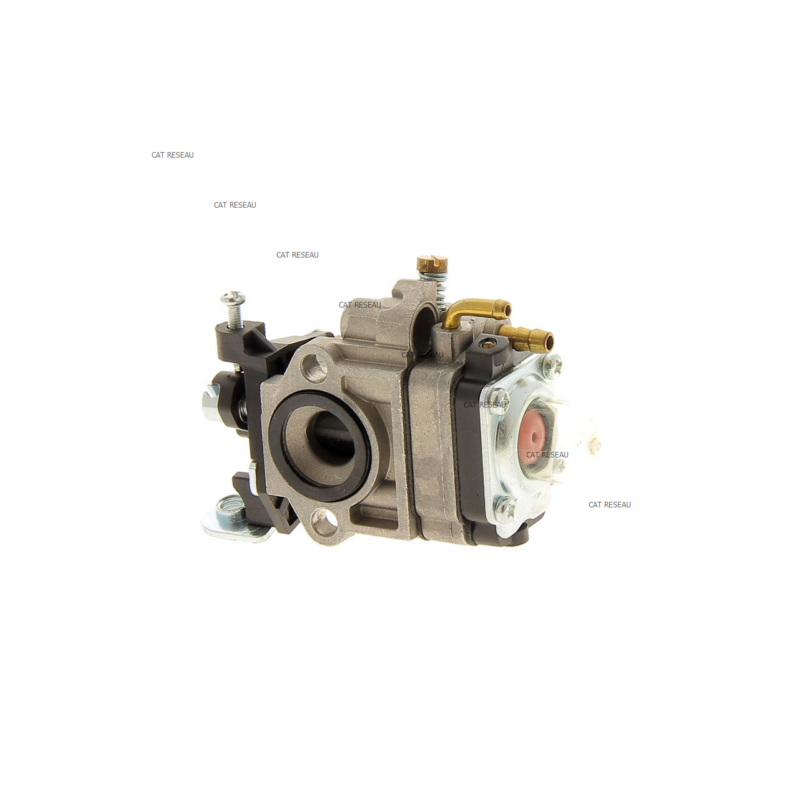 CARBURATEUR - ref. 24050956 | TP Agri
