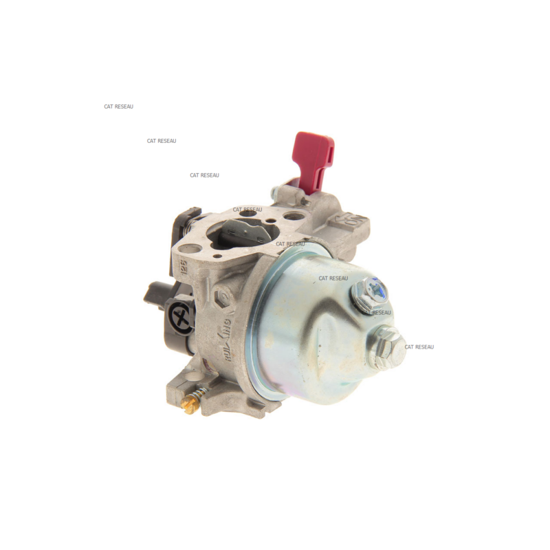 CARBURATEUR MOTEUR 1P64 - ref. 28092032 | TP Agri