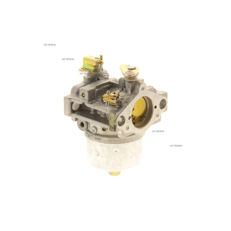CARBURATEUR - ref. 150012723 | TP Agri