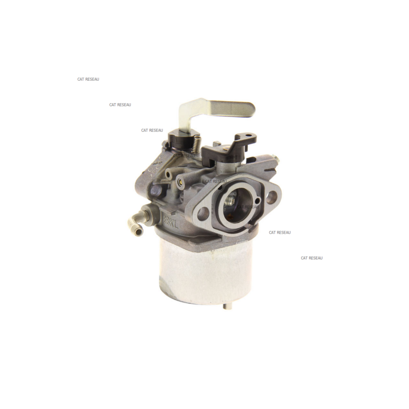 CARBURATEUR - ref. 150032034 | TP Agri