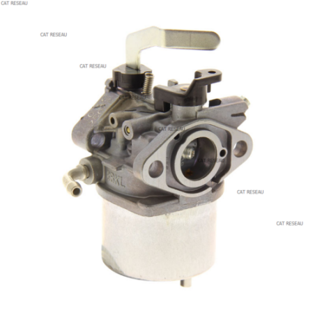 CARBURATEUR - ref. 150032034 | TP Agri