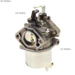 CARBURATEUR FE350D AA - ref. 150032232 | TP Agri