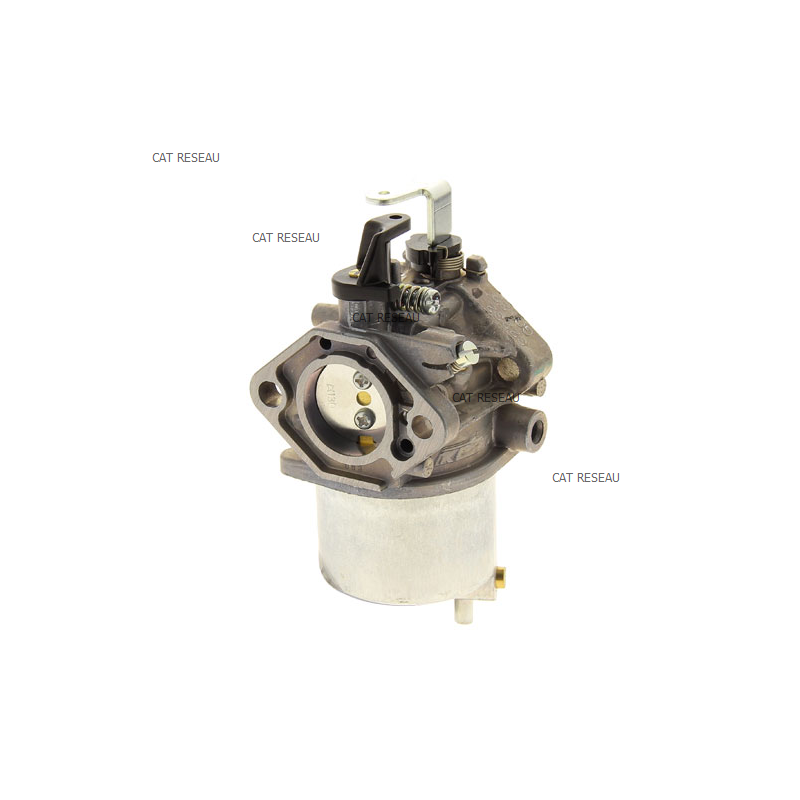 CARBURATEUR FE350D AA - ref. 150032232 | TP Agri