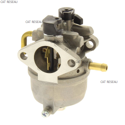 CARBURATEUR FC180V CS54 - ref. 150032618 | TP Agri