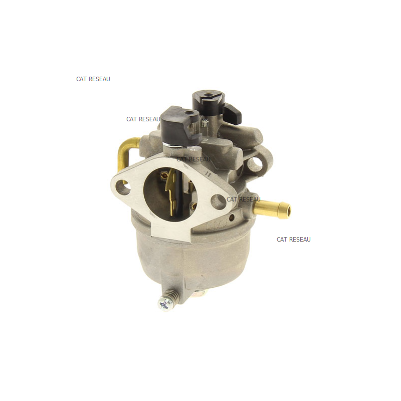 CARBURATEUR FC180V CS54 - ref. 150032618 | TP Agri