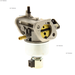 CARBURATEUR - ref. 150037084 | TP Agri
