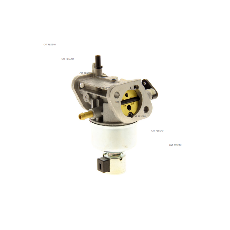 CARBURATEUR - ref. 150037084 | TP Agri