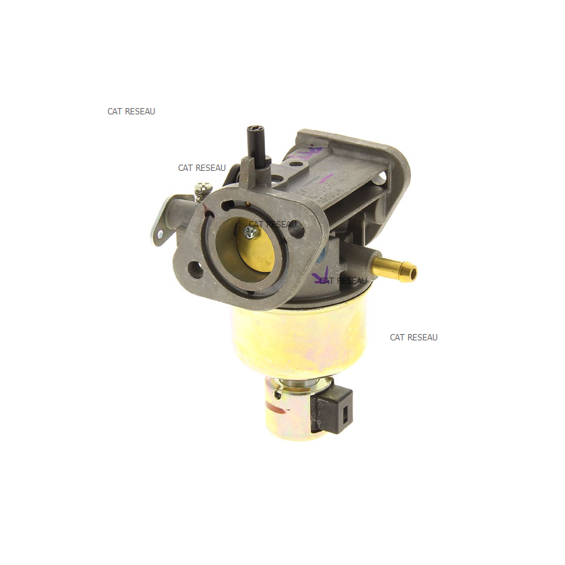 CARBURATEUR FR 541 V - ref. 150040814 | TP Agri