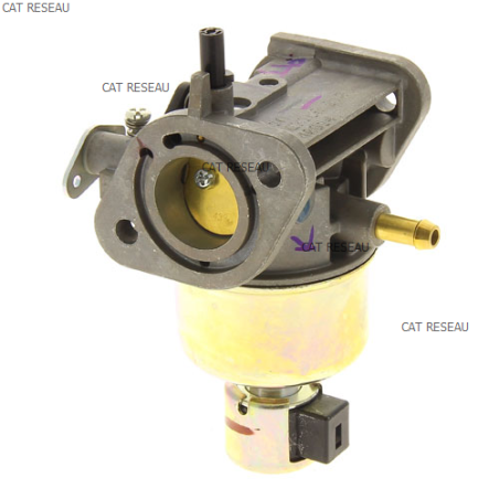 CARBURATEUR FR 541 V - ref. 150040814 | TP Agri
