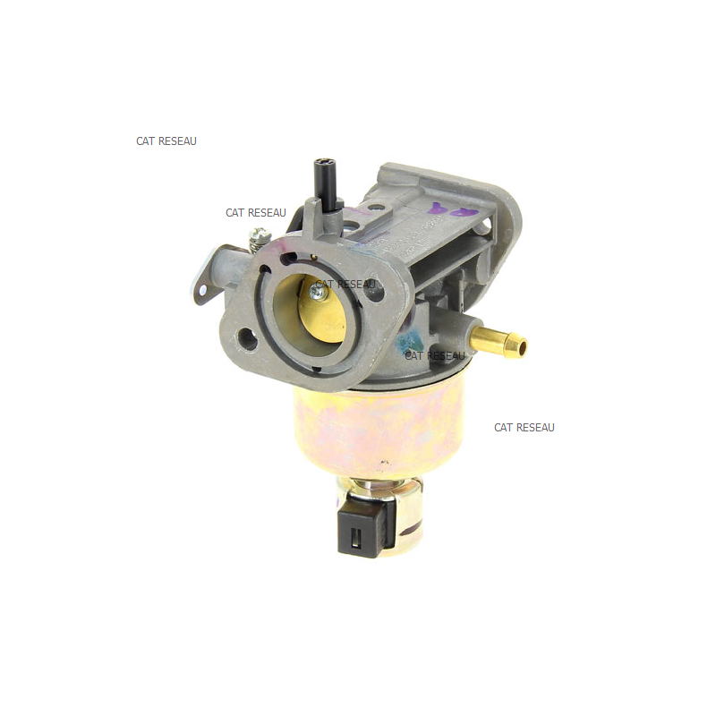 CARBURATEUR FX 600 V - ref. 150040815 | TP Agri