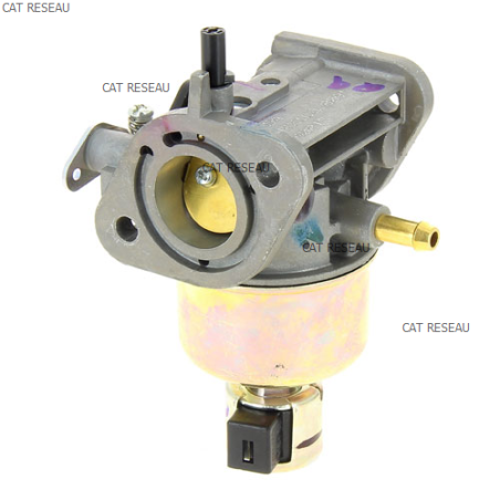 CARBURATEUR FX 600 V - ref. 150040815 | TP Agri