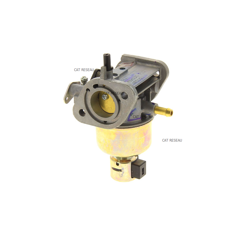 CARBURATEUR FS 541 V - ref. 150040818 | TP Agri