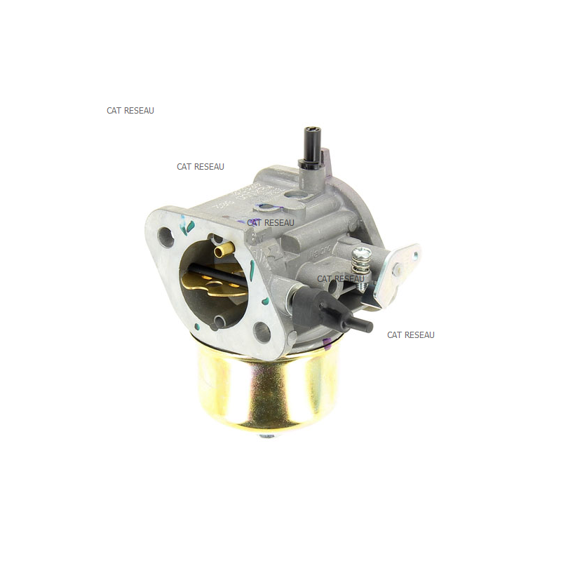 CARBURATEUR - ref. 150040820 | TP Agri
