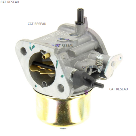 CARBURATEUR - ref. 150040820 | TP Agri