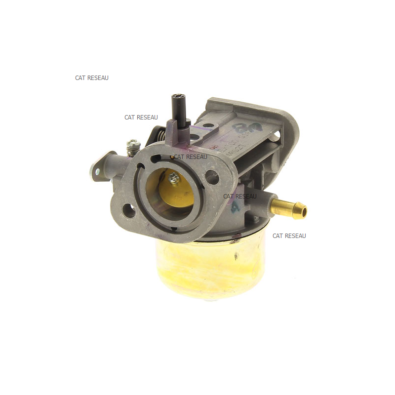 CARBURATEUR FS481V - ref. 150040823 | TP Agri