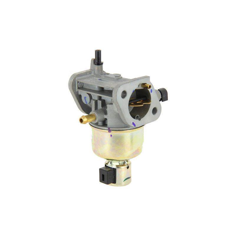 CARBURATEUR - ref. 150040824 | TP Agri