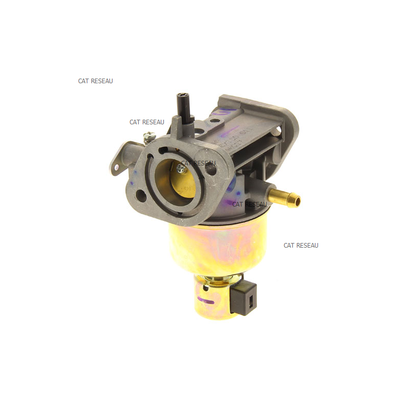 CARBURATEUR FR 600 V - ref. 150040827 | TP Agri