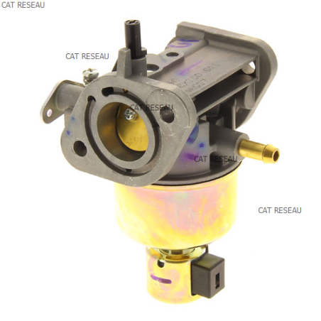 CARBURATEUR FR 600 V - ref. 150040827 | TP Agri
