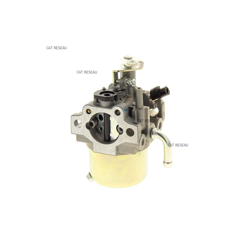 CARBURATEUR FJ 180 D - ref. 150040852 | TP Agri