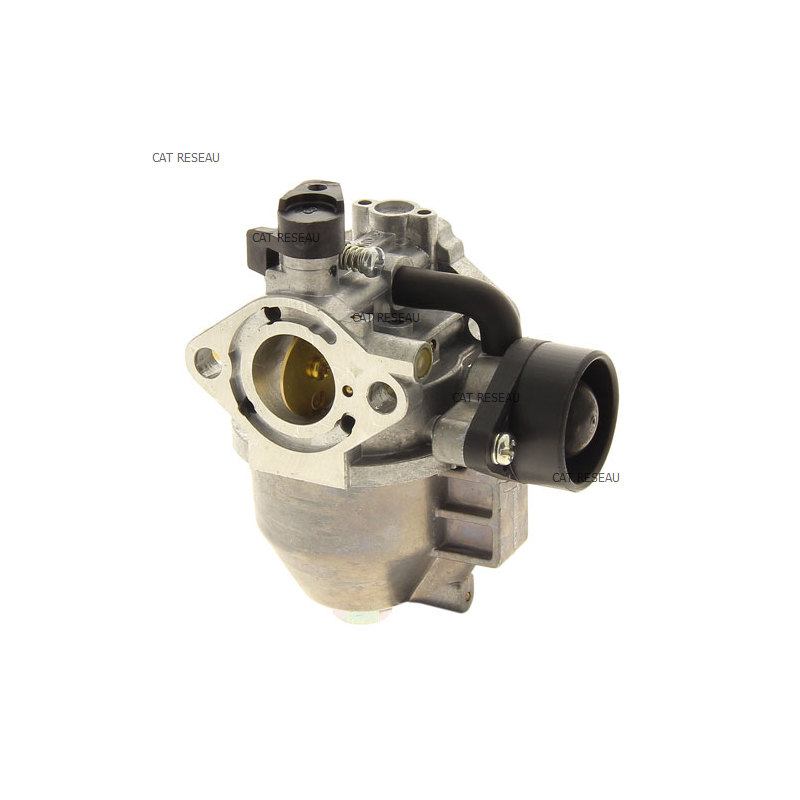 CARBURATEUR - ref. 150040951 | TP Agri