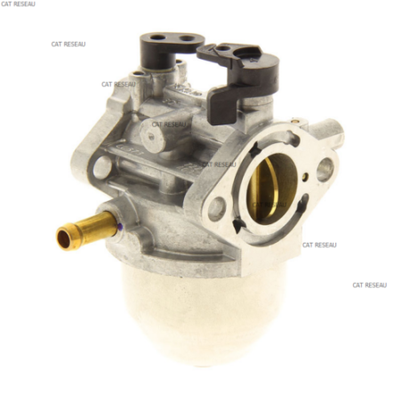 CARBURATEUR FJ 180 V - ref. 150040952 | TP Agri