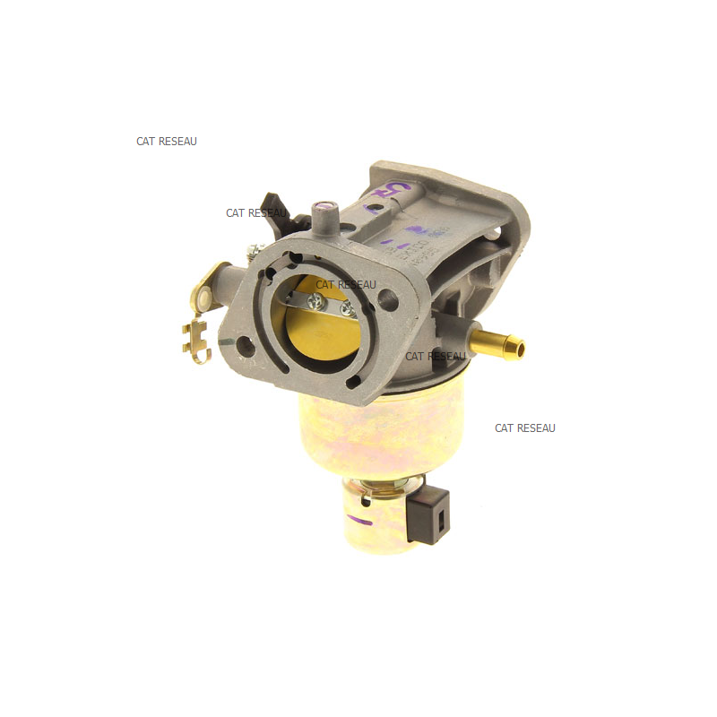 CARBURATEUR - ref. 150040985 | TP Agri