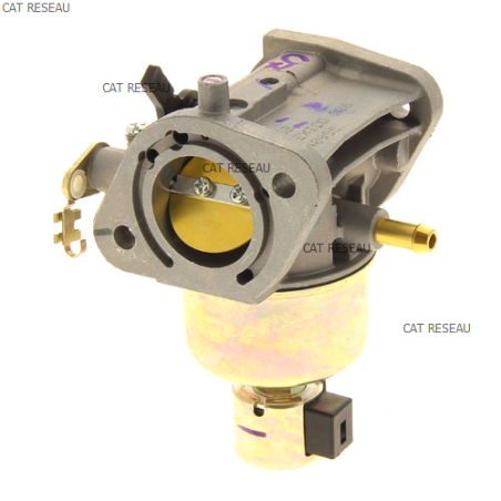 CARBURATEUR - ref. 150040985 | TP Agri