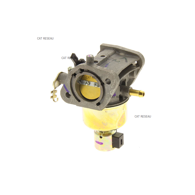 CARBURATEUR - ref. 150040986 | TP Agri