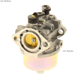 CARBURATEUR FJ 180V - ref. 150040993 | TP Agri