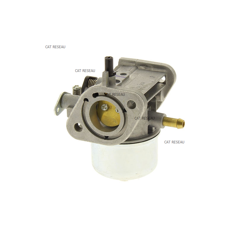 CARBURATEUR - ref. 150047088 | TP Agri