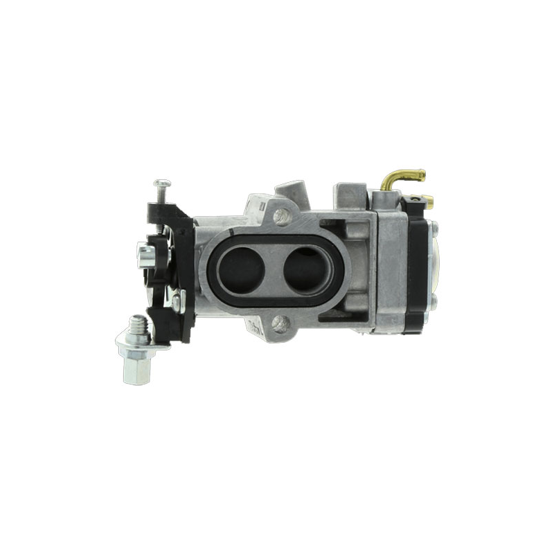 CARBURETTOR ASSY - ref. 581177001 | TP Agri